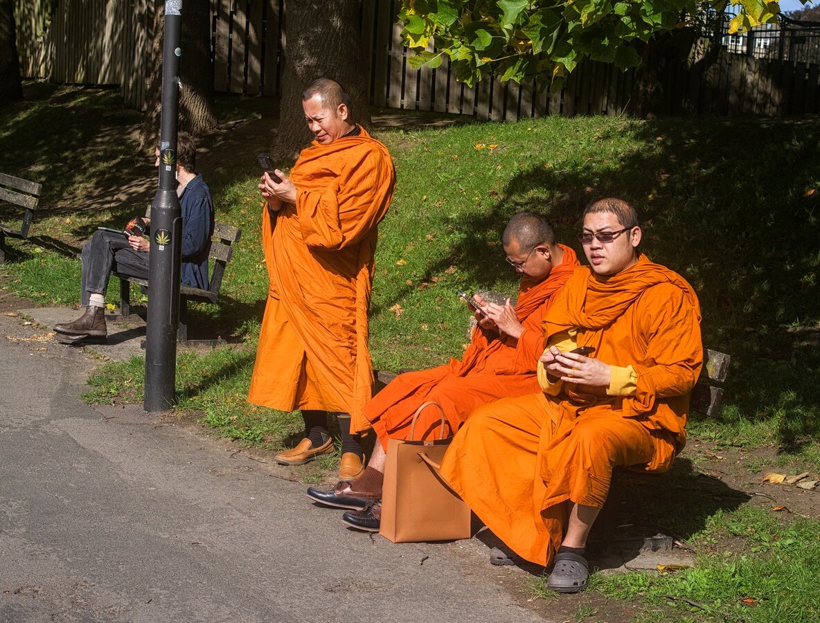 Orange robed monks